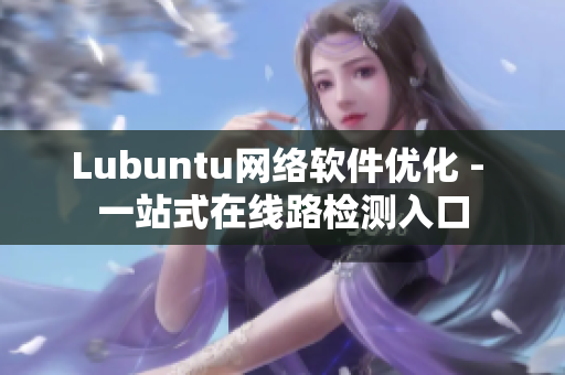 Lubuntu网络软件优化 - 一站式在线路检测入口