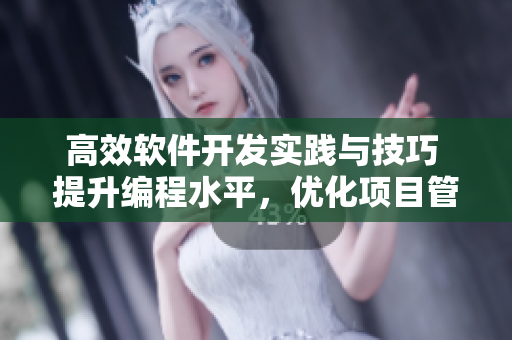 高效软件开发实践与技巧 提升编程水平，优化项目管理