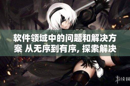软件领域中的问题和解决方案 从无序到有序, 探索解决之道