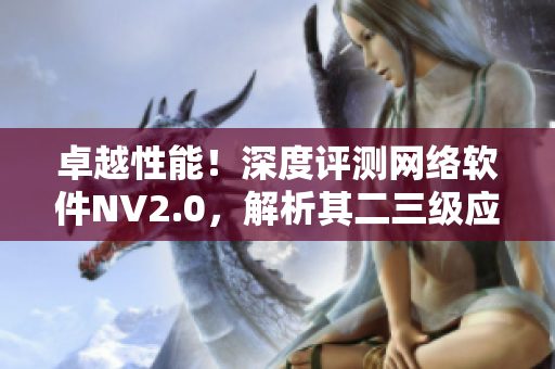 卓越性能！深度评测网络软件NV2.0，解析其二三级应用与优化