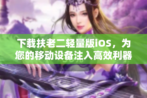 下载扶老二轻量版iOS，为您的移动设备注入高效利器