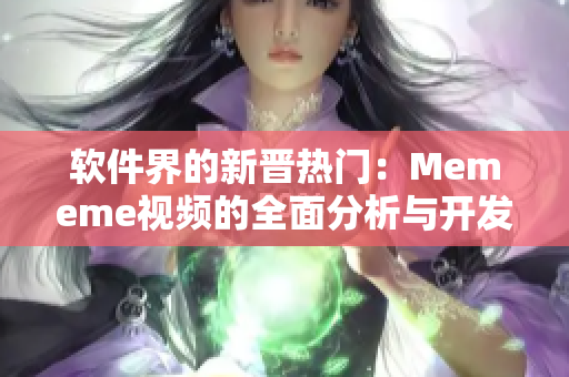 软件界的新晋热门：Mememe视频的全面分析与开发技术