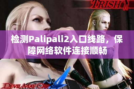 检测Palipali2入口线路，保障网络软件连接顺畅