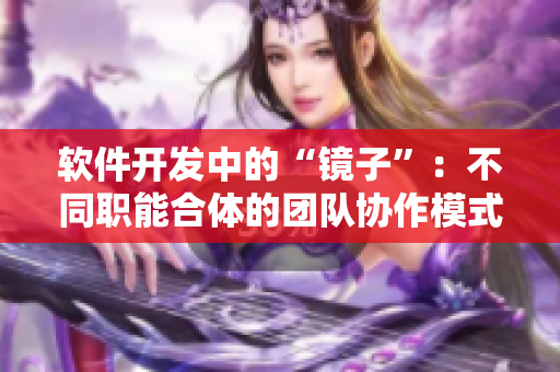 软件开发中的“镜子”：不同职能合体的团队协作模式