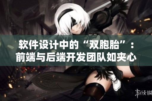 软件设计中的“双胞胎”：前端与后端开发团队如夹心饼干般密切合作