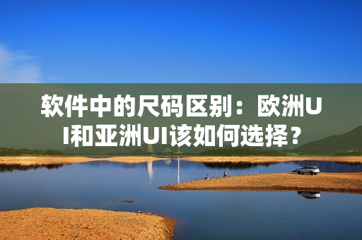 软件中的尺码区别：欧洲UI和亚洲UI该如何选择？