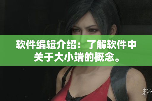 软件编辑介绍：了解软件中关于大小端的概念。