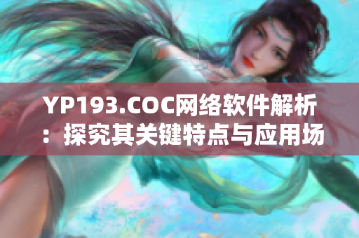 YP193.COC网络软件解析：探究其关键特点与应用场景