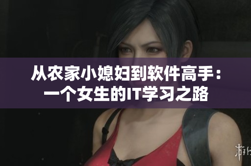 从农家小媳妇到软件高手：一个女生的IT学习之路
