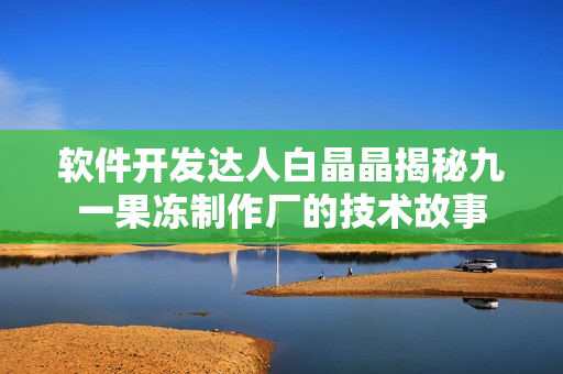 软件开发达人白晶晶揭秘九一果冻制作厂的技术故事