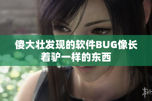 傻大壮发现的软件BUG像长着驴一样的东西