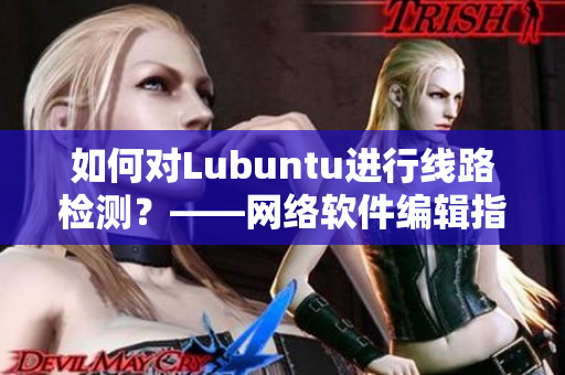 如何对Lubuntu进行线路检测？——网络软件编辑指南