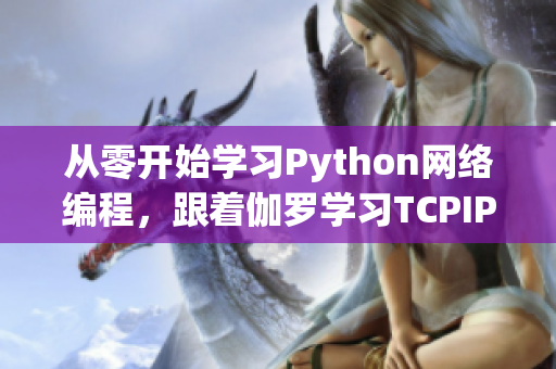 从零开始学习Python网络编程，跟着伽罗学习TCPIP协议！