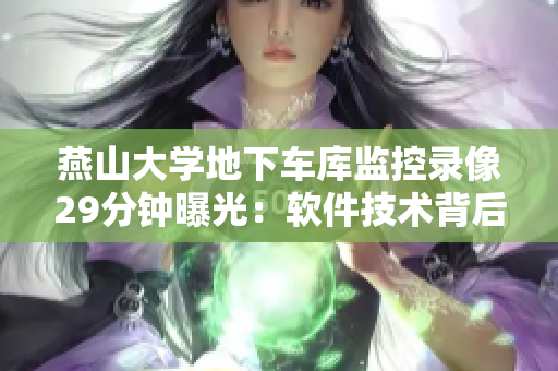 燕山大学地下车库监控录像29分钟曝光：软件技术背后的故事