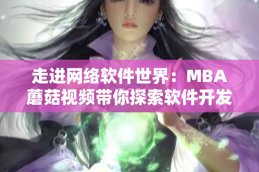 走进网络软件世界：MBA蘑菇视频带你探索软件开发的奥秘