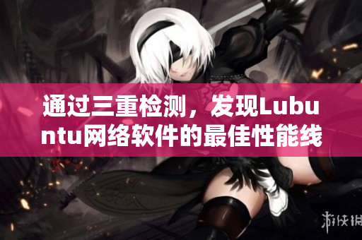 通过三重检测，发现Lubuntu网络软件的最佳性能线路
