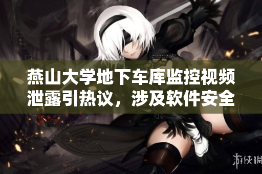 燕山大学地下车库监控视频泄露引热议，涉及软件安全风险