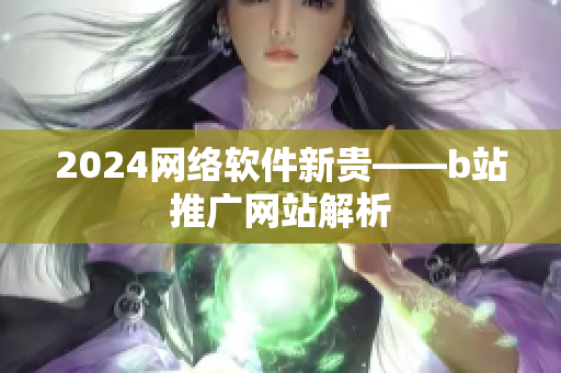 2024网络软件新贵——b站推广网站解析