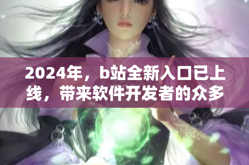 2024年，b站全新入口已上线，带来软件开发者的众多新机遇！