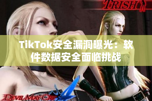 TikTok安全漏洞曝光：软件数据安全面临挑战