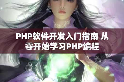 PHP软件开发入门指南 从零开始学习PHP编程