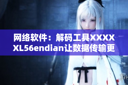 网络软件：解码工具XXXXXL56endian让数据传输更快效率更高！