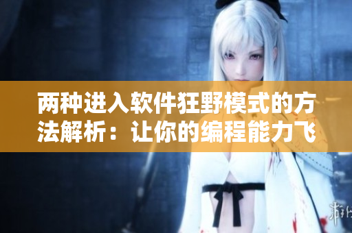 两种进入软件狂野模式的方法解析：让你的编程能力飞跃