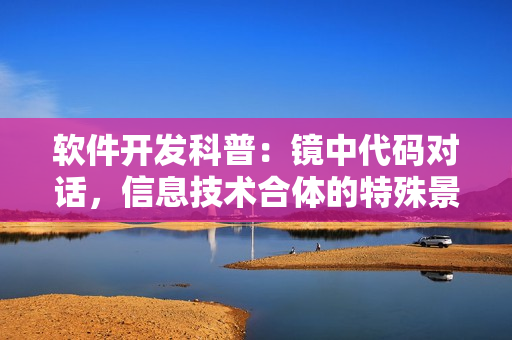 软件开发科普：镜中代码对话，信息技术合体的特殊景象