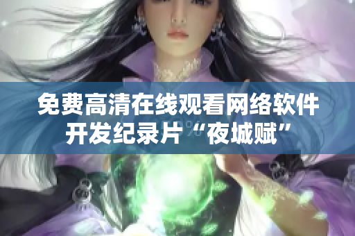 免费高清在线观看网络软件开发纪录片“夜城赋”