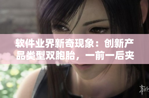 软件业界新奇现象：创新产品类型双胞胎，一前一后夹心应用软件闪亮登场