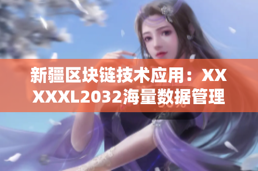 新疆区块链技术应用：XXXXXL2032海量数据管理系统