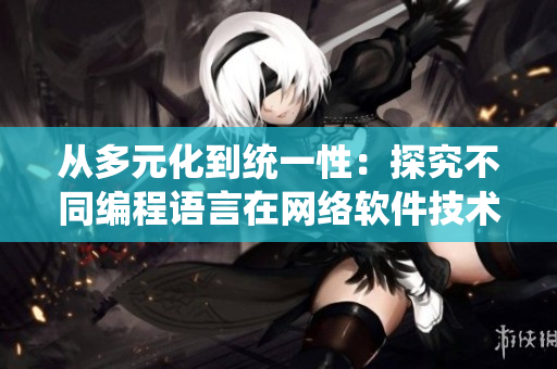 从多元化到统一性：探究不同编程语言在网络软件技术中的应用
