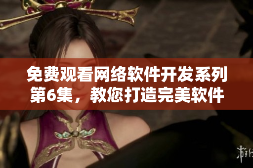 免费观看网络软件开发系列第6集，教您打造完美软件！