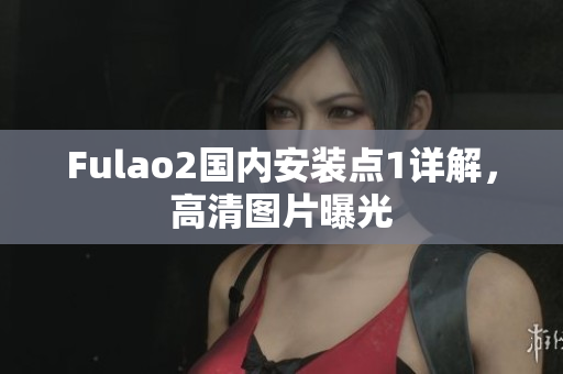 Fulao2国内安装点1详解，高清图片曝光