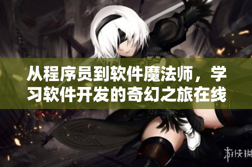 从程序员到软件魔法师，学习软件开发的奇幻之旅在线观看
