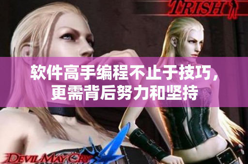 软件高手编程不止于技巧，更需背后努力和坚持