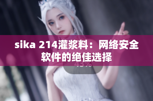 sika 214灌浆料：网络安全软件的绝佳选择