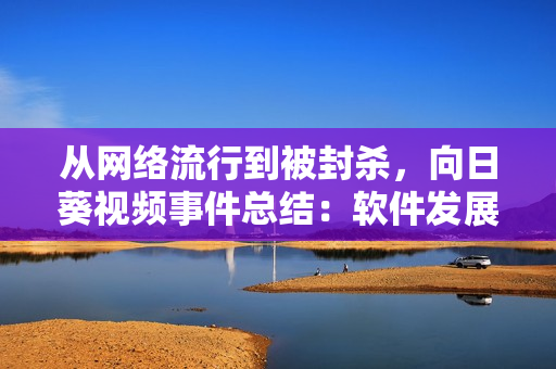 从网络流行到被封杀，向日葵视频事件总结：软件发展需要更多的道德和监管