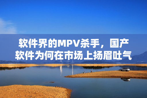 软件界的MPV杀手，国产软件为何在市场上扬眉吐气？