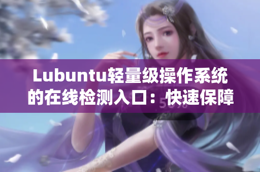 Lubuntu轻量级操作系统的在线检测入口：快速保障您的软件安全