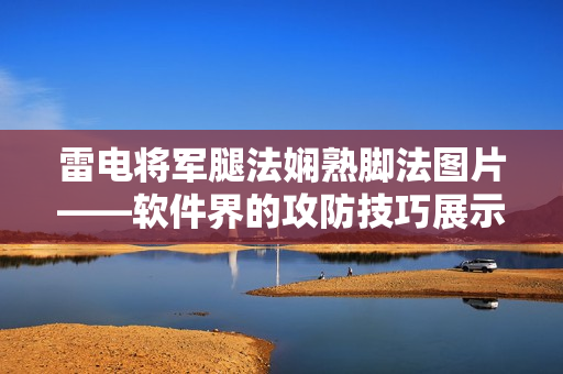 雷电将军腿法娴熟脚法图片——软件界的攻防技巧展示