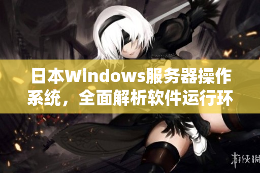 日本Windows服务器操作系统，全面解析软件运行环境