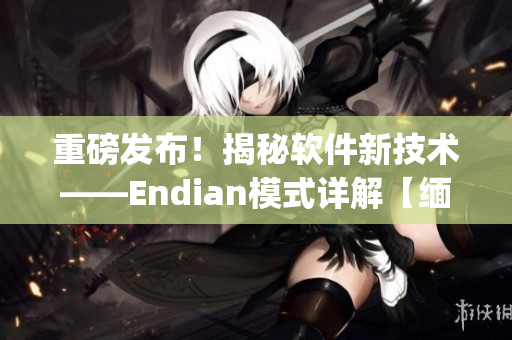 重磅发布！揭秘软件新技术——Endian模式详解【缅北14may18】