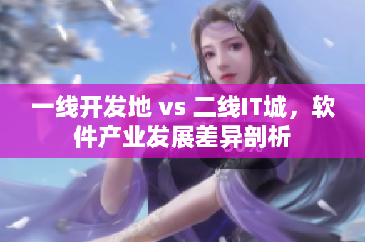 一线开发地 vs 二线IT城，软件产业发展差异剖析