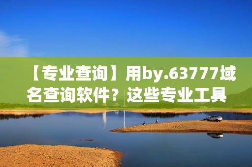 【专业查询】用by.63777域名查询软件？这些专业工具能帮你！