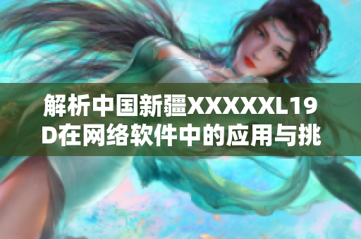 解析中国新疆XXXXXL19D在网络软件中的应用与挑战