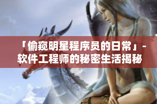 「偷窥明星程序员的日常」- 软件工程师的秘密生活揭秘