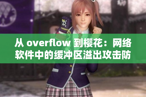 从 overflow 到樱花：网络软件中的缓冲区溢出攻击防范