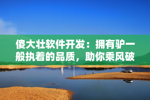傻大壮软件开发：拥有驴一般执着的品质，助你乘风破浪