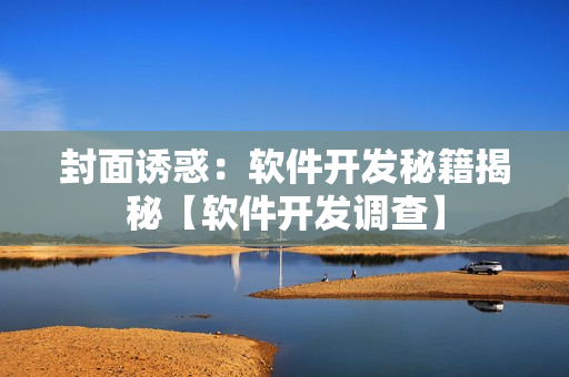 封面诱惑：软件开发秘籍揭秘【软件开发调查】